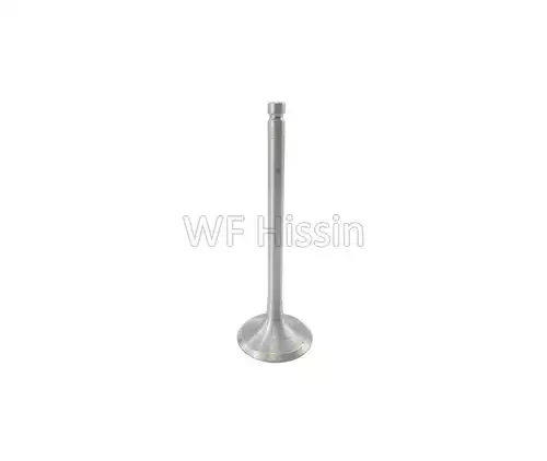 Intake valve Y385 Y485